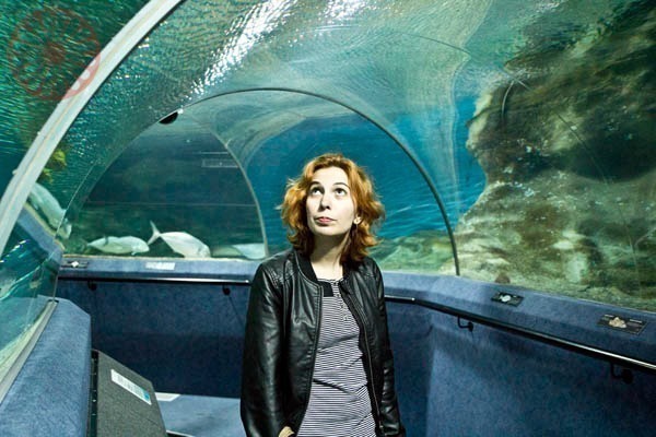 New Zealand Aquarium
