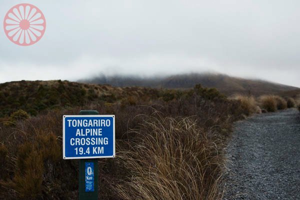 Tongariro Alpine Crossing trekking, National Park, next to Whakapapa New Zealand