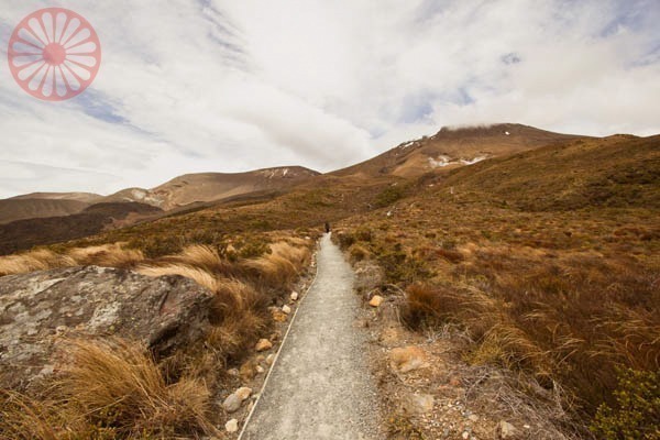 Tongariro Alpine Crossing trekking, National Park, next to Whakapapa New Zealand