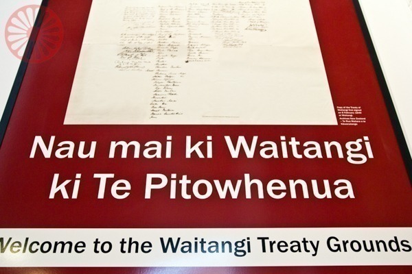 waitangi treaty grounds vida cigana