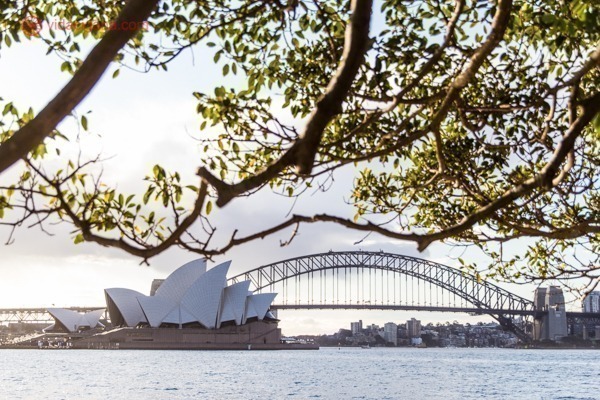 O que fazer em Sydney: A ópera de Sydney vista dos Royal Botanic Gardens com a Harbour Bridge ao fundo, com galhos de uma árvore em primeiro plano