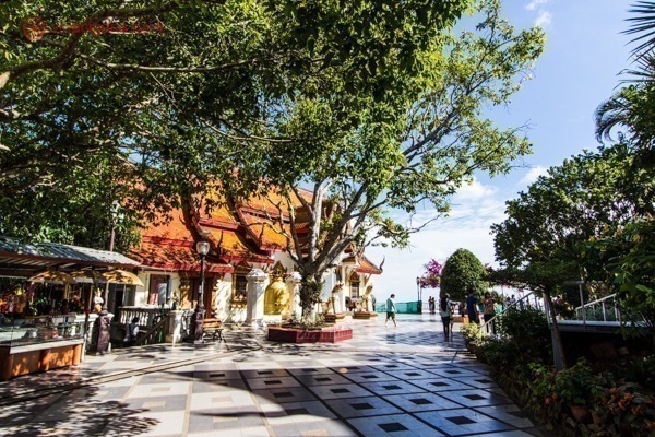 Os jardins de um templo budista em Chiang Mai, cheio de árvores