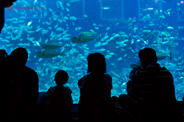 Sentosa SEA Aquarium