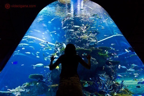 Sentosa SEA Aquarium