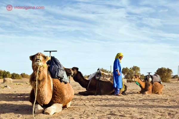 viagem pelo deserto do saara no marrocos
