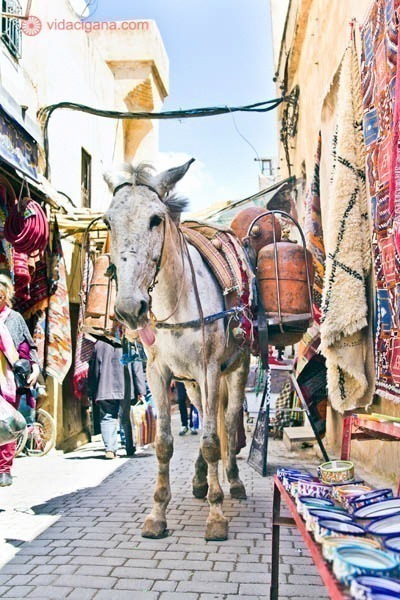 O que fazer em Fez no Marrocos