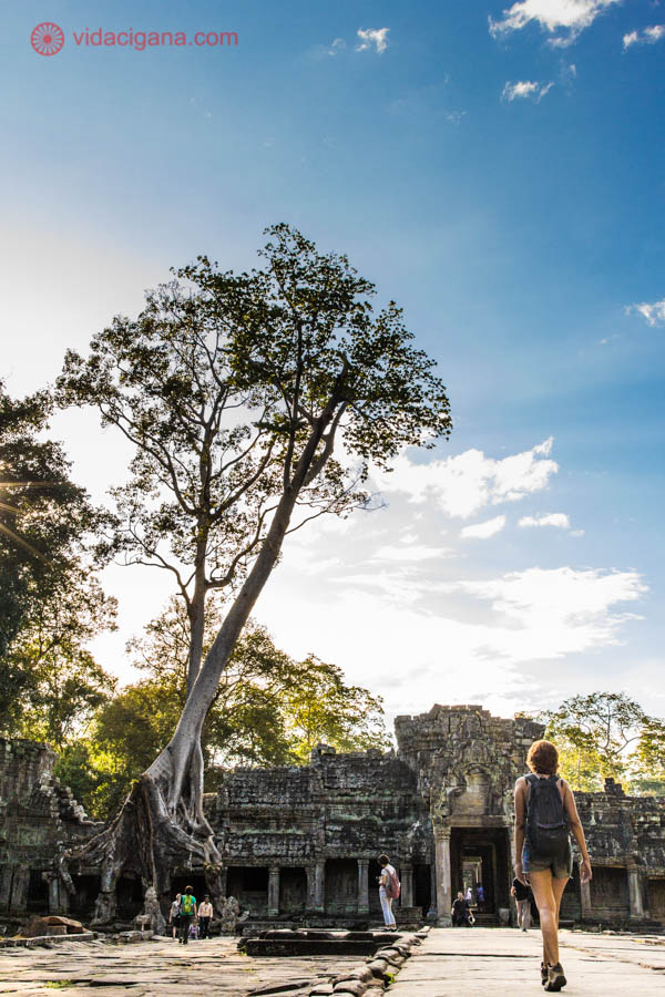 ruínas de sítio arqueológico khmer no camboja. um dos muitos templos próximos a angkor wat. mulher caminha em direção às ruínas sobre as quais enorme árvore cresce fincando suas raízes