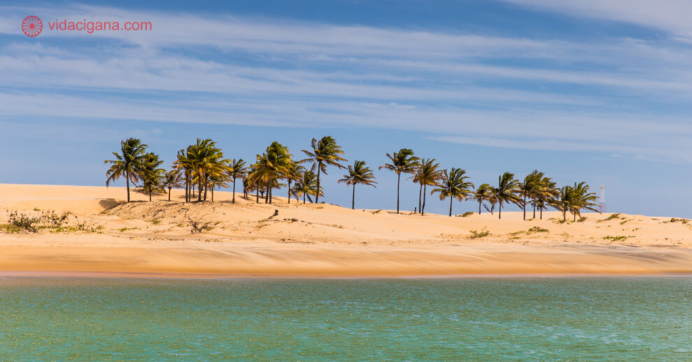 A duna no delta do São Francisco, na divida entre Alagoas e Sergipe. Com suas areias branquinhas, cheias de coqueiros altos, céu azul com algumas poucas nuvens brancas pintando o céu e as águas do Velho Chico verdinhas, difícil achar lugar tão bonito nesse nosso Brasil.