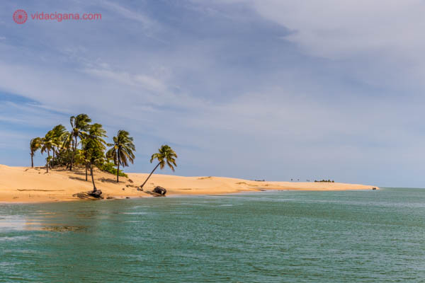 O delta do São Francisco, lugar maravilhoso entre os estados de Alagoas e Sergipe. Visitamos num lindo dia ensolarado, com céu azul, nuvens brancas, areias claras e água verdinha. Muitos coqueiros também para embelezar mais.