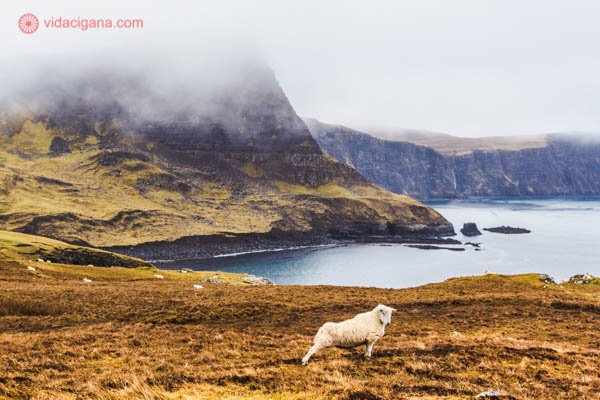 A Ilha de Skye perto do Neist Point. Uma ovelha se espreguiça na beira do mar. Um gramado amarelado se espalha pelo terreno, e ao fundo, montanhas altas e cobertas de neblina em seu topo.