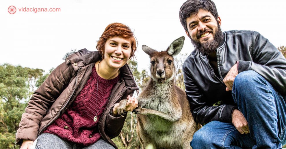 Um casal na Austrália posando com um canguru em uma reserva ecológica perto de Perth. Eles usam roupas de frio e estão muito felizes segurando a pata do animal. O dia está nublado e frio.