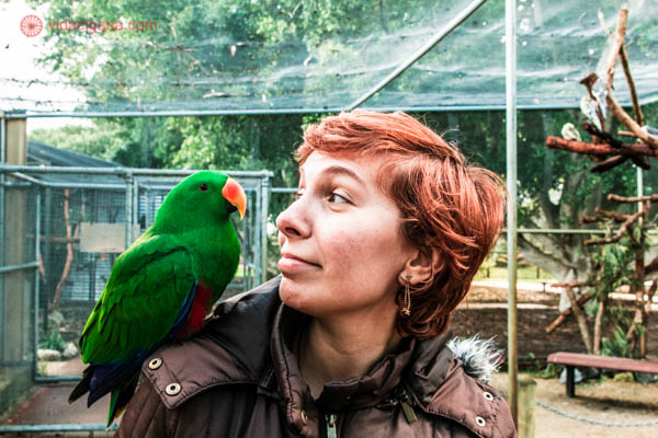 Uma mulher ruiva com um pássaro verde de bico laranja pousado em seu ombro. Ela está olhando para ele.