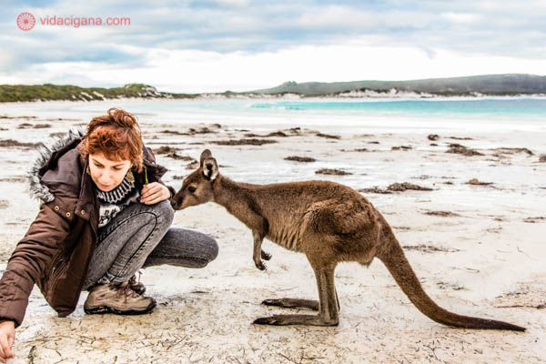Uma mulher com um canguru em Lucky Bay, uma praia paradisíaca na Austrália. A mulher é ruiva e está usando roupas de frio, está pegando grama na areia para dar ao canguru que aguarda. Ao longe, montanhas e mar azul. O dia está nublado.