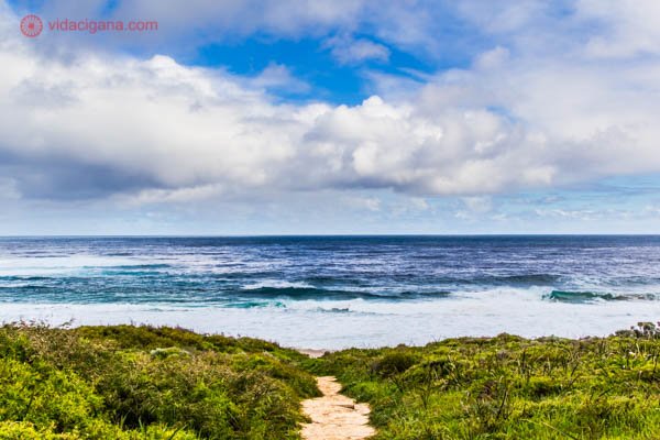 Na região de Margaret River, Austrália, fica Yallingup, uma cidadezinha conhecida por suas belas praias de surfistas e suas galerias de arte. Na foto vendo o caminho até uma das praias mais famosas.