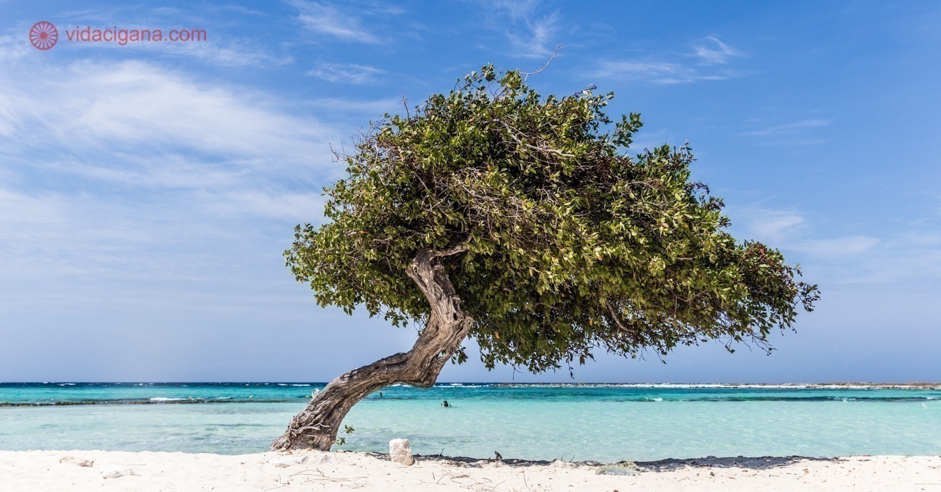 O que fazer em Aruba: 10 atrações imperdíveis no paraíso