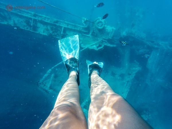 Snorkeling acima do Antilla, um antigo navio da Segunda Guerra Mundial que naufragou na costa de Aruba é uma das surpresas da ilha.