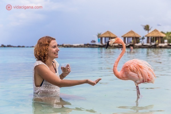 mulher alimentando flamingo na renaissance island, em aruba