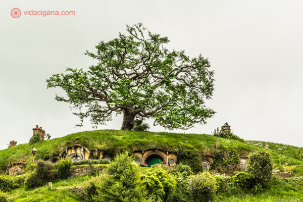 os principais pontos turísticos da nova zelândia: hobbiton, a vila dos hobbits de o senhor dos anéis