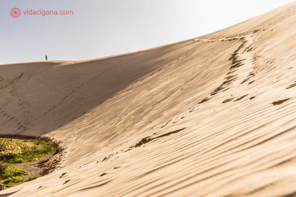 os principais pontos turísticos da nova zelândia: as dunas do giant te paki, na ninety mile beach, na região do far north