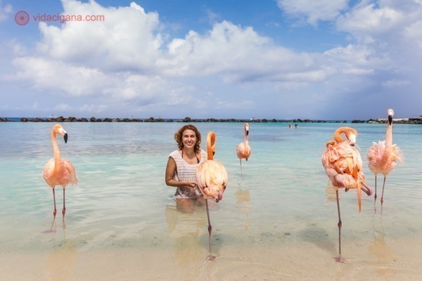 Larissa dentro d'água em meio aos flamingos da praia do renaissance island