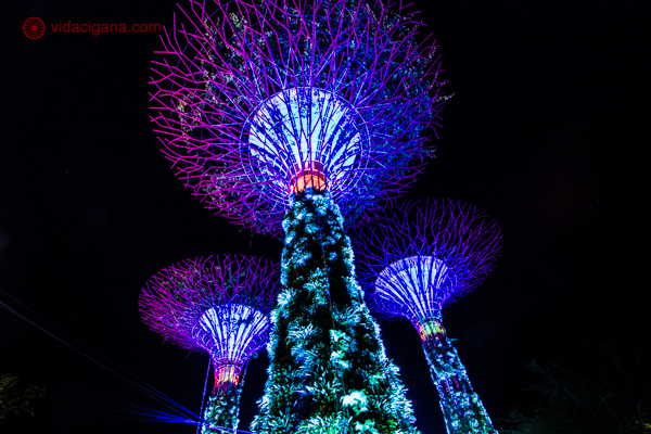 O que fazer em Singapura: Caminhar pelo Gardens by the Bay é um dos pontos altos do país.