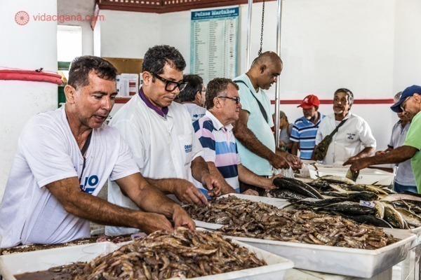 Passeios em Angra dos Reis: O interior do Mercado Redondo, onde vendem peixes fresquinhos todos os dias.