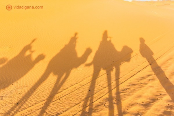 A noite no Saara: Como dormir nas tendas do Deserto no Marrocos: a sombra dos dromedários na areia