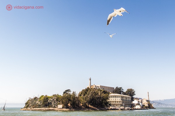 O que fazer em San Francisco: Ir até a ilha de Alcatraz