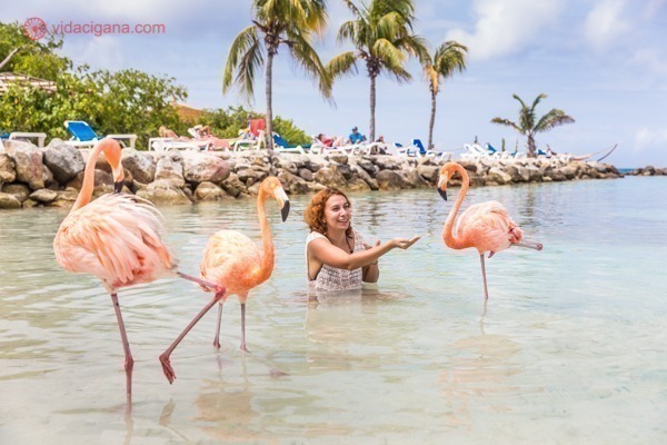 Praias de Aruba: Renaissance Island e sua Flamingo Beach