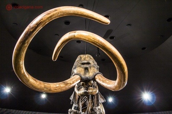 Pontos turísticos de Los Angeles: Ossadas de mamute no museu do La Brea