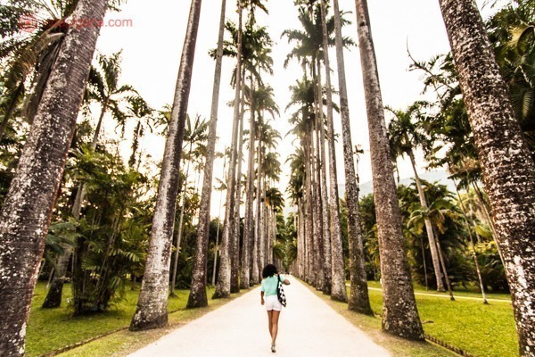 O que fazer no Rio de Janeiro: Percorrer o Jardim Botânico