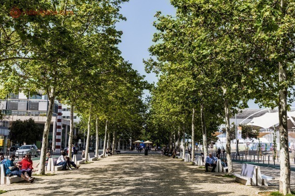 Parque das Nações, Lisboa: Os caminhos repletos de árvores