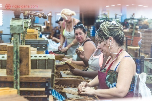 Principais pontos turísticos de Cuba: mulheres trabalhando na fábrica de charutos de Cuba, enrolando charutos enquanto conversam umas com as outras. 