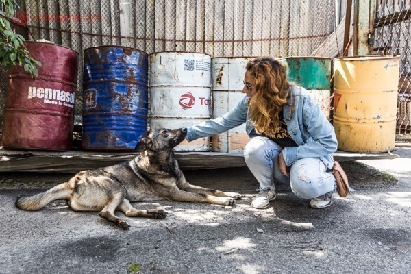 Como visitar Chernobyl: uma mulher com um cachorro