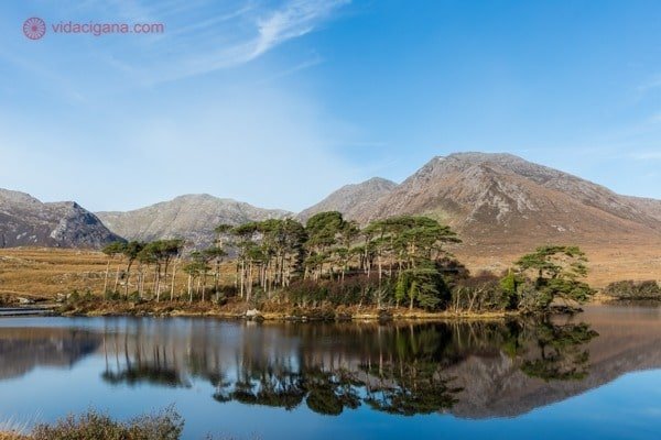 Roteiro Irlanda: Twelve Pines Island, com seus pinheiros na ilha