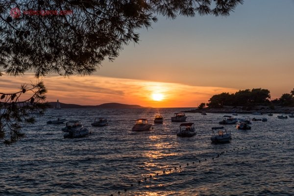O que fazer em Hvar: o maravilhoso pôr do sol da Hula Hula Beach Club, com o mar cheio de barcos e uma árvore do lado esquerdo