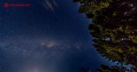 Como fotografar a Via Láctea: a Via Láctea no meio da foto na horizontal com árvores no canto direito