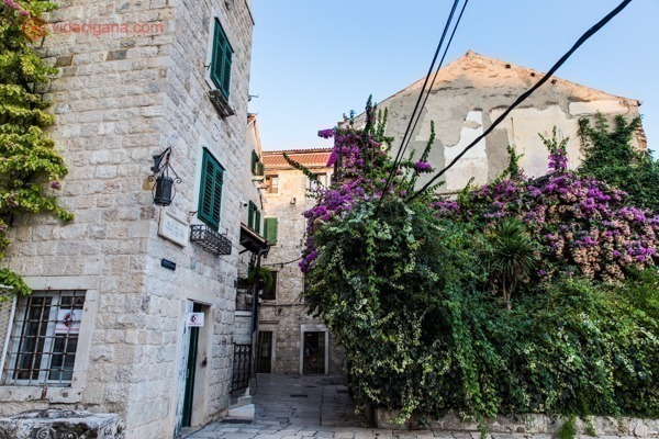 O que fazer em Split: as ruas dentro do palácio, com prédios de pedra e muitas árvores cheias de flores roxas