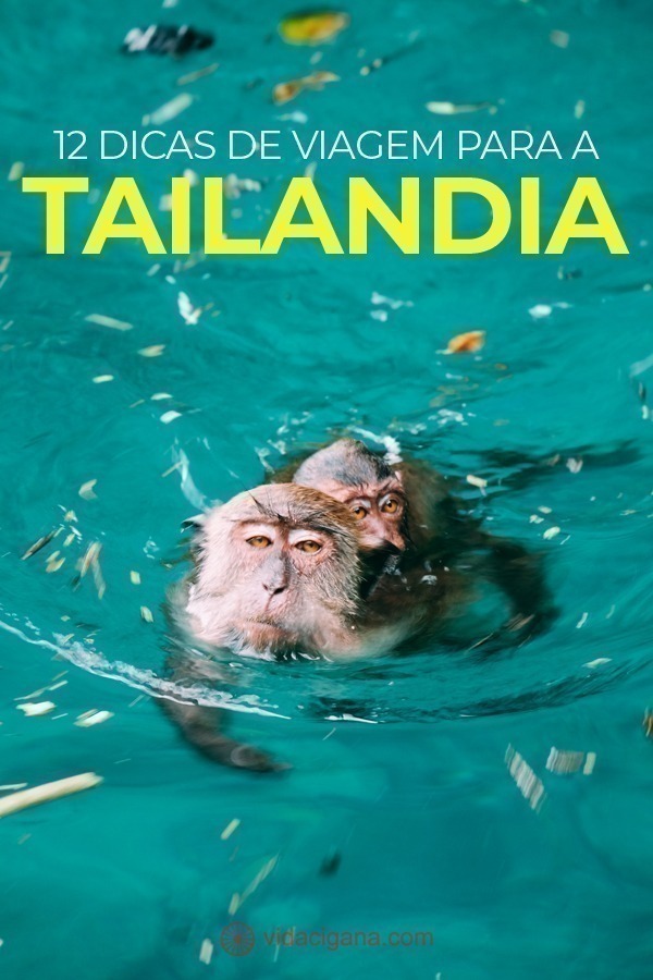 12 dicas para um viagem perfeita para a Tailândia: Para ajudar, listamos abaixo 12 dicas de viagem para a Tailândia para que seu sonho se concretize sem percalços e de maneira socialmente responsável, como o turismo deve ser sempre.