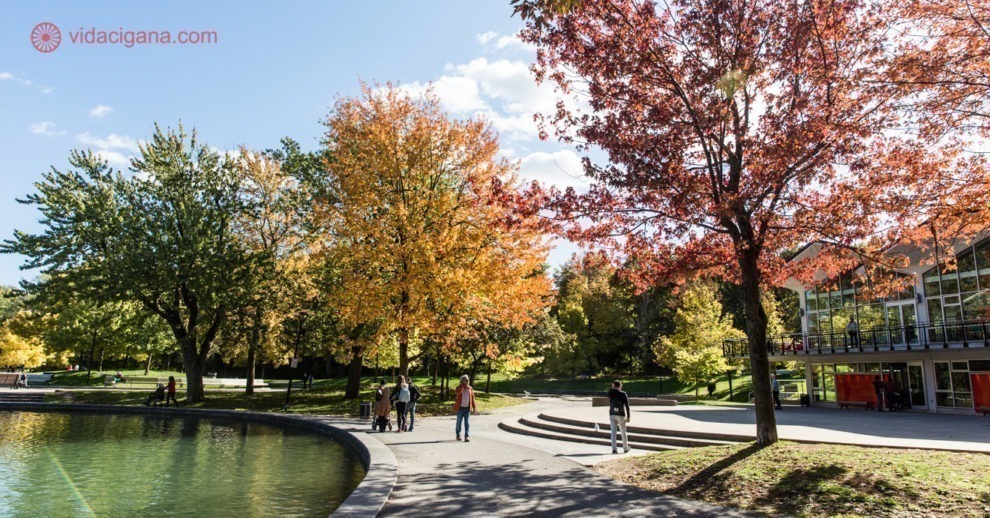 O que fazer em Montreal: o Lago dos Castores durante o outono, com folhas das árvores amarelas e vermelhas