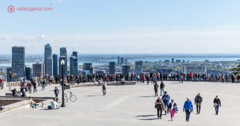 Onde ficar em Montreal: a vista de toda a cidade do topo do Mont Royal