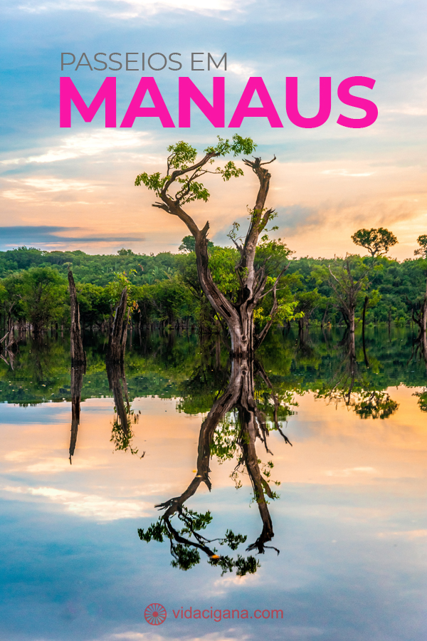 Os melhores passeios em Manaus com diferentes atrações e tudo o que você pode ver na Floresta Amazônica.