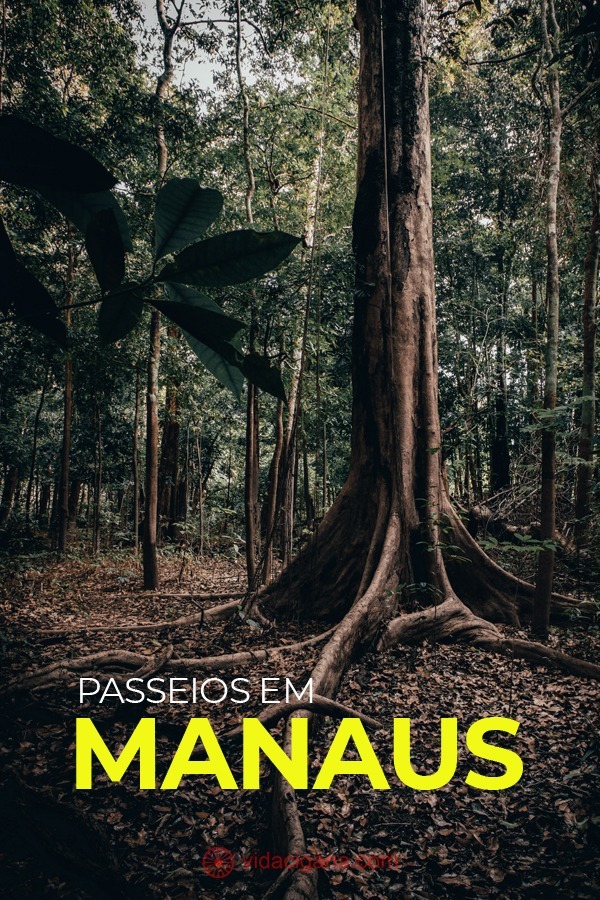 Siga o nosso roteiro detalhado de passeios em Manaus com o melhor da Amazônia.