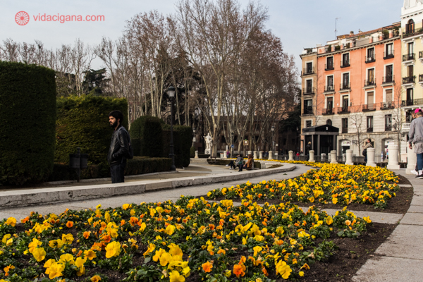O que fazer em Madrid: jardins floridos numa praça arborizada no centro da cidade
