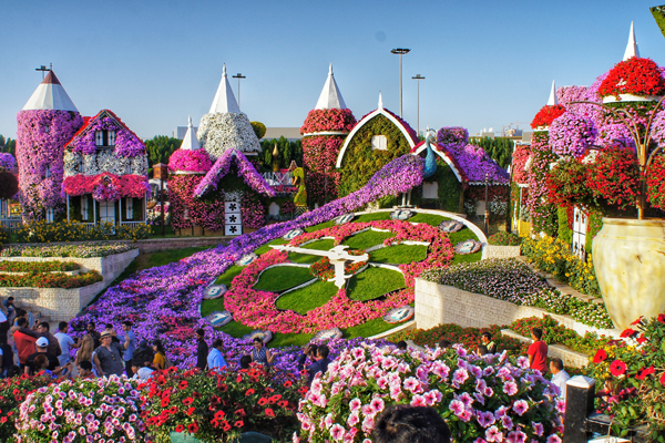 O Dubai Miracle Garden, repleto de flores de todas as cores