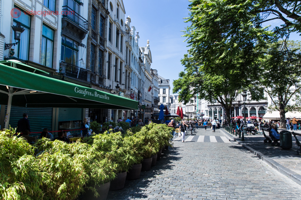 Onde ficar em Bruxelas: uma praça no centro da cidade com muito verde, árvores, canteiros e restaurantes