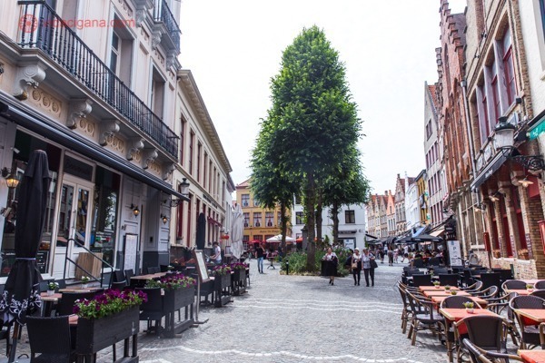 O que fazer em Bruges: uma das ruas de Bruges cheias de mesinhas nas calçadas, uma árvore linda verde ao fundo