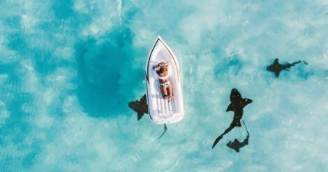 O que é seguro viagem: uma mulher deitada em um bote num mar cristalino e raso com tubarões pretos ao redor