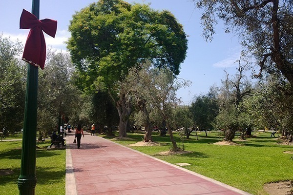 O Parque El Olivar cheio de oliveiras e cheio de outras árvores bem verdes