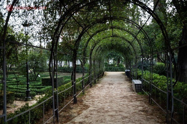 Um corredor de plantas no Parque Maria Luísa